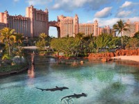 Parc_aquatique_Atlantis_Aquaventure_skylink_travel_Oran_Algerie_4.jpg
