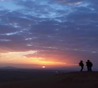 Sunrise Desert Safari avec balade à dos de chameau Dubaï