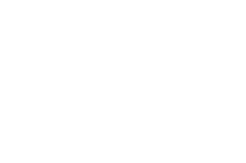 Skylink Travel